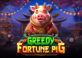 Greedy Fortune Pig demo