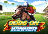 Odds On Winner demo