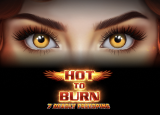 Hot to Burn - 7 Deadly Free Spins demo