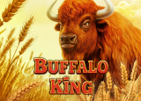 Buffalo King demo