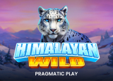 Himalayan Wild demo