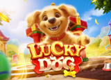 Lucky Dog demo