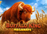 Buffalo King Megaways demo