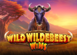 Wild Wildebeest Wins demo