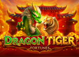Dragon Tiger Fortunes demo